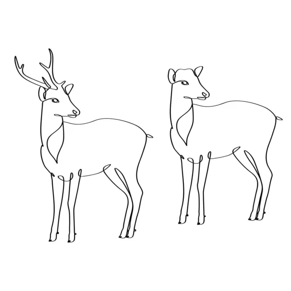 单幅连续线条画优美可爱的公鹿和母鹿为国家动物园标识 狩猎俱乐部元素艺术 — 图库矢量图片
