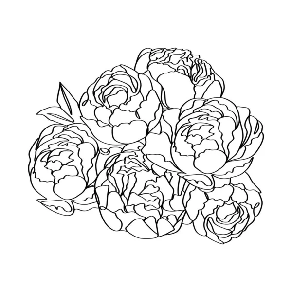 Bouquet Peony Flowers Elegance Linear Minimalist Outline Graphic Artwork Illustration — Stock Vector