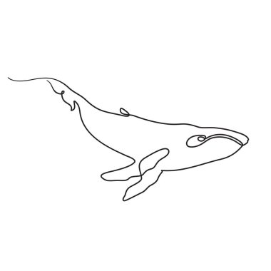 vektör çizimi, el çizimi bir siyah balina, balina, balina, balina, deniz, deniz, deniz, deniz, deniz, deniz