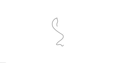 Geleneksel kuş sürekli sanat hareketi grafikleri 