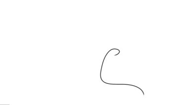 Arı sineğinin bitmeyen tek çizgi çizimi, bal arısı 