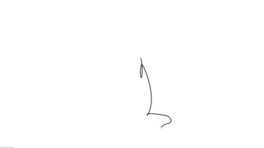 Kediler sürekli tek çizgi halinde yaşayan hayvanları canlandırdı. Animasyon tek çizgi sanatı.. 