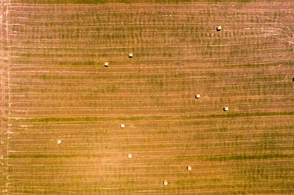 Summer Field Hay Bales Harvest Haystack Rolls Landscape Farm Land —  Fotos de Stock