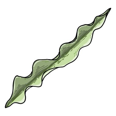 Bahar çiçeği yaprakları ve taze filizler. Bahar bitkisi dalları, nergisler, laleler, timsahlar ve Lily gibi. Bahar otu ve yosun. Vektör.