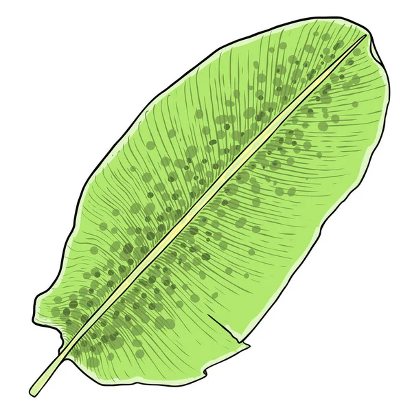 Džungle Exotické Tropické Listy Zelené Červené Přírodní Palmové Listy Bílém — Stockový vektor