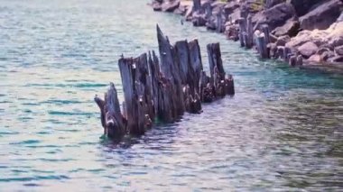 Huron Gölü sularının manzarası ve solmuş ahşap rıhtımlar ya da güneşli bir günde Gürcistan Körfezi 'nde Wiarton, Ontario, Kanada' da Spirit Rock Koruma Alanı yakınlarında bir marina enkazı..