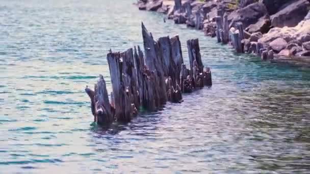 Landscape Huron Lake Water Old Withered Wooden Dock Posts Marina — Stock Video