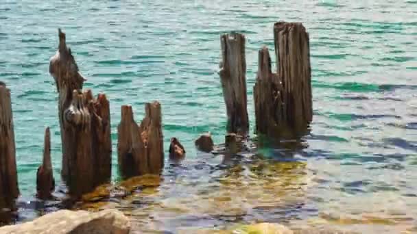 Landscape Huron Lake Water Old Withered Wooden Dock Posts Marina — Video