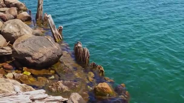 Landscape Huron Lake Water Old Withered Wooden Dock Posts Marina — Video