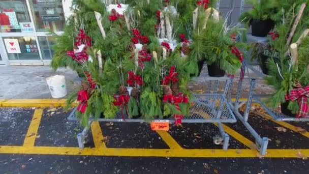 Toronto Ontario Canada December 2022 Christmas Trees Decorations Sale Pine — Stock Video