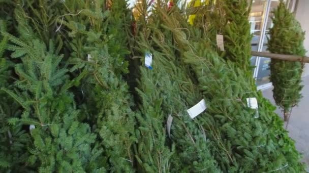 トロント オンタリオ州 カナダ 12月2 2022 クリスマスツリーと販売のための装飾 松やモミの木は フェスティバルのノエルグリーンの休日の装飾のためにすべての店の近くに小枝 クリスマスと新年 — ストック動画