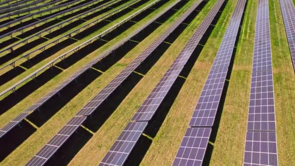 Solar Power Farm Field Solar Power Plant Photovoltaic Cell Technology — Vídeos de Stock