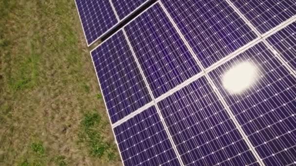 Violet Blue Purple Solar Panels Power Plant Field Sun Light — Wideo stockowe