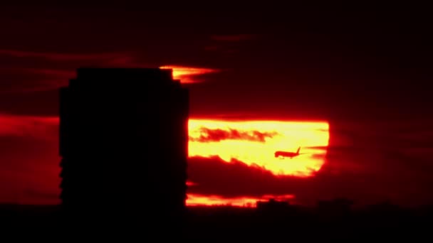 Avion Réaction Petite Silhouette Arrivent Voyage Grand Coucher Soleil Cinématographique — Video