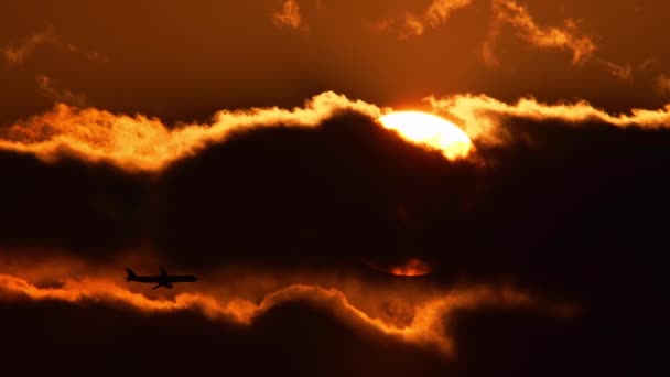 커다란 원반이나 여름의 태양을 비행기 실루엣의 놀라운 광경이다 시네마 오렌지와 — 비디오