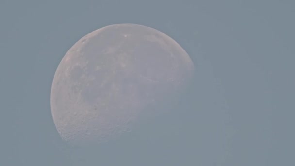Необычная Белая Луна Голубое Утро Ясное Небо Летнее Время Истекает — стоковое видео