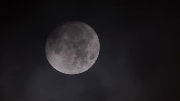 Moon Flying Dense Dark Clouds Night Big Full Moon Phase — Stock Video