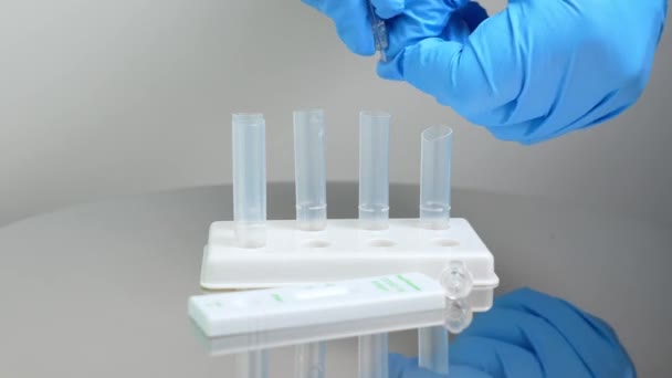 Close Male Nurse Blue Gloves Drops Test Reagents Extraction Buffer — Vídeo de stock