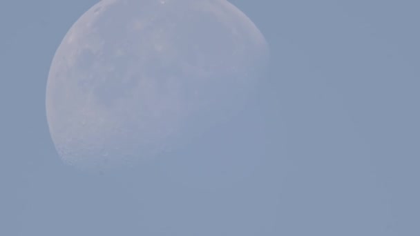 罕见的白月在蓝色的早晨 晴朗的天空在夏天消逝了 占星术或天文学行星时间推移 日出时天空上可见的月亮 — 图库视频影像