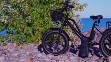 Electric bicycle in the park in sunny summer day near lake. Natural lighting. The view of the bike e motor and power battery.