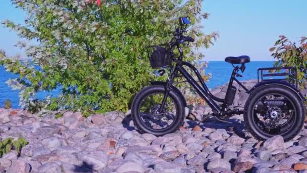 晴れた夏の日には湖公園で電動自転車 自然光よ 電動トライクまたはバイク3輪バイクのEモーターとパワーバッテリー 生態系とグリーンエネルギーの概念 電気自動車 — ストック動画