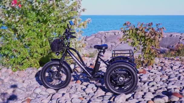 湖の近くの晴れた夏の日に公園内の電動自転車 自然光よ 自転車のEモーターとパワーバッテリーの眺め — ストック動画