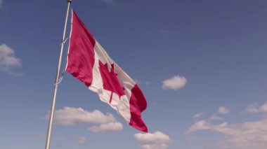 National flag of Canada waving in Toronto, Ontario, Canada for honour. Canadian flag flies at mast.
