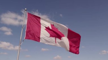 Flag of Canada flying against a summer blue sky. Canadian flag waving on the wind. Canadian flag with maple leaf on the pole slow motion movement.
