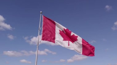 National flag of Canada waving in Toronto, Ontario, Canada for honour. Canadian flag flies at mast.