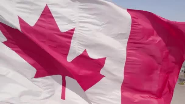 加拿大安大略省多伦多 2022年8月2日 加拿大国旗在夏日蓝天下飘扬 加拿大国旗在风中飘扬 加拿大国旗 杆状慢动作上有枫叶 — 图库视频影像