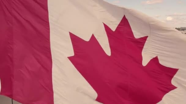 Toronto Ontario Canada August 2022 Flag Canada Flying Summer Blue — Stock videók