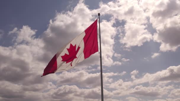 カナダの旗は夏の青空に向かって飛んでいる カナダの国旗が風になびく カナダの旗は ポール スローモーション ムーブメントにカエデの葉 — ストック動画