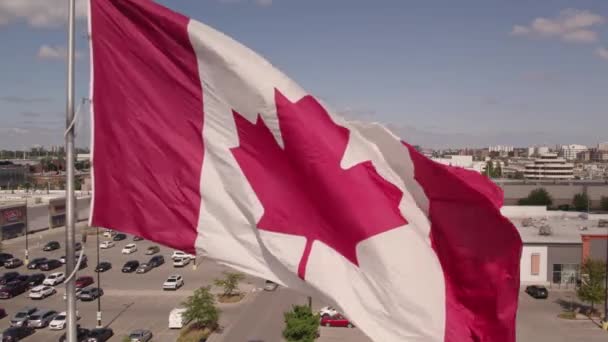 Toronto Ontario Canada August 2022 Flag Canada Flying Summer Blue — Stock Video