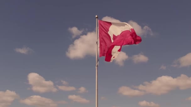 Canadas Flagg Vifter Toronto Ontario Canada Ære Kanadiske Flaggheiser Mast – stockvideo