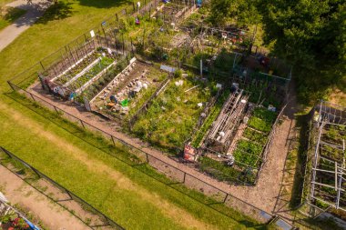 Neighbourhood urban garden, with hands grown green vegetables Agriculture in the city by citizens near their buildings and houses. Aerial view of community farming garden.
