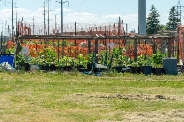 Permaculture trend result view. Sustainable design and systems in farming in the city downtown. Eco-friendly and organic environments with street gardening. Tactical urbanism in the city.
