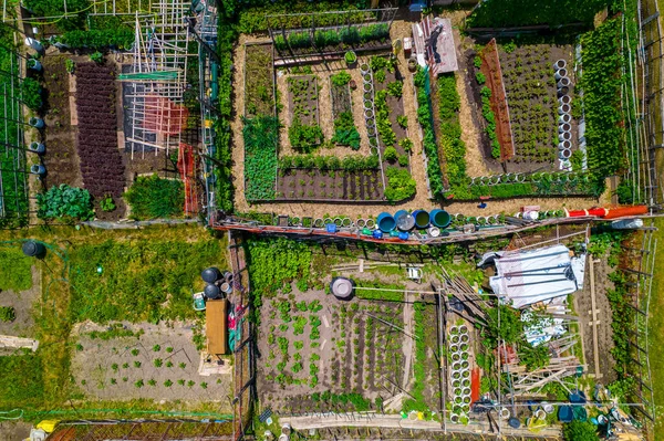 Urban guerrilla gardening aerial view. Community gardening or urban foraging and urban homesteading hobby and leisure. Innovative food sustainability and community empowerment farming in urban spaces