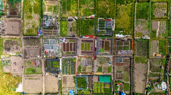 Permaculture Trend Result Aerial View Sustainable Design Systems Farming City — Foto Stock