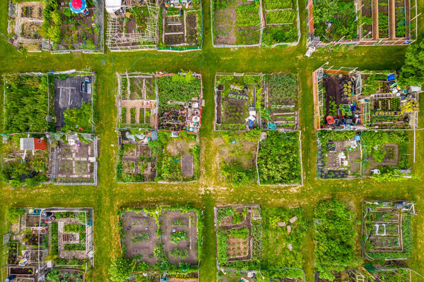 Urban gardening in the city, vegetable garden for farming and growing organic produce in an urban setting. Hand grown food and self-sustainability, utilizing rainwater to support the gardening system.