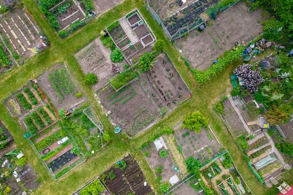 Urban Gardening Soil Vegetables Food Farming City Small Urbanized Farm — Foto Stock