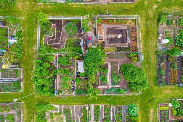 Urban gardening and farming aerial view. Urban oases in summer day. Sustainable living and edible urban jungle. New city movement that using practices like urban permaculture and guerrilla gardening.