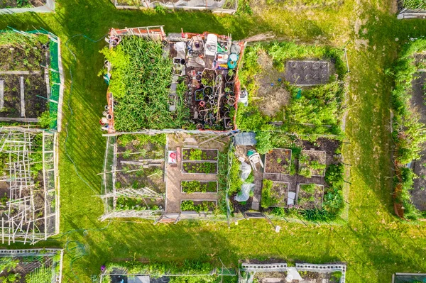Urban garden care by community patrons, family farming and small gardens for food growing in the city near homes. Growing vegetables and family agriculture in urban area. Aerial view.