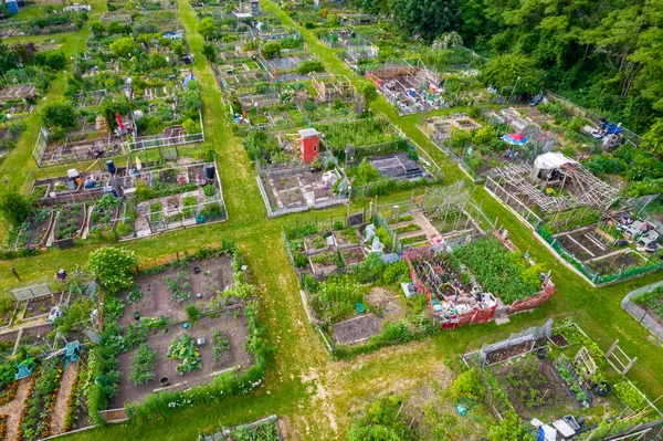Neighbourhood urban garden, with hands grown green vegetables Agriculture in the city by citizens near their buildings and houses. Aerial view of community farming garden.