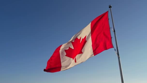 カナダの旗は夏の青空に向かって飛んでいる カナダの国旗が風になびく カナダの旗は ポール スローモーション ムーブメントにカエデの葉 — ストック動画