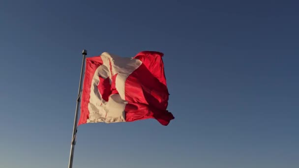 National Flag Canada Canadian Flag Slow Motion Mast Toronto City — Stock Video