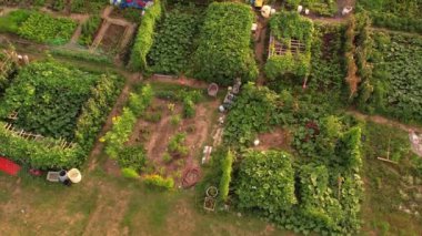 Community garden prepared for vegetables and fruits farming, aerial view of urban farms near citizens homes. Homesteading life style and self-sufficient food preserving concept. Aerial view.