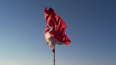 National flag of Canada waving in Toronto, Ontario, Canada for honour. Canadian flag flies at mast.