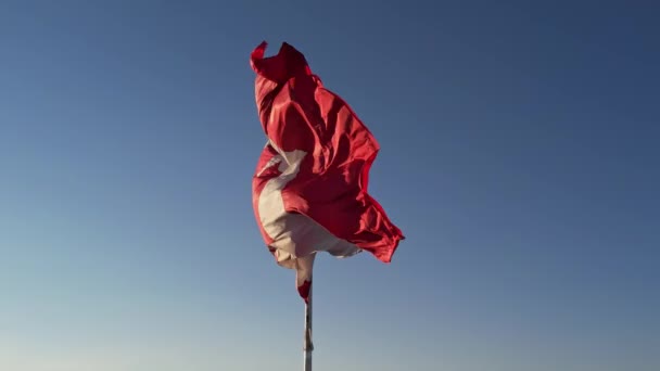 National Flag Canada Waving Toronto Ontario Canada Honour Canadian Flag — Stock video