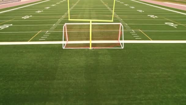 Aerial View Soccer Football Field Nice Green Grass Single Gate — Stockvideo