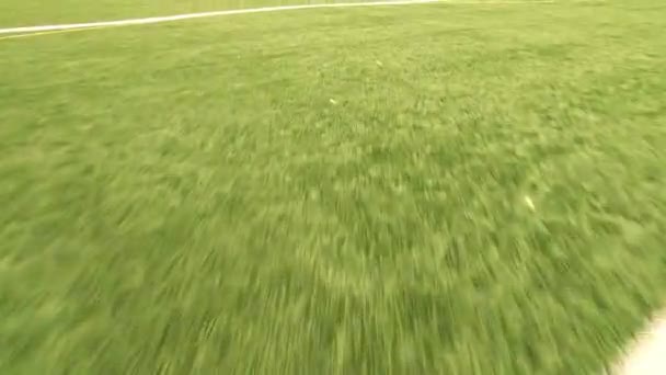 Spor Oyunları Çim Manzaralı Yeşil Çimen Beyaz Boya Çizgileri Işaretleri — Stok video